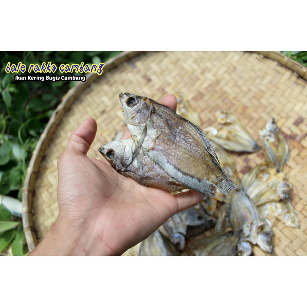 

Ikan Kering Bugis Bale Rakko CAMBANG Ikan Sepat Ikan Air Tawar Kota Sengkang Danau Tempe 50gram