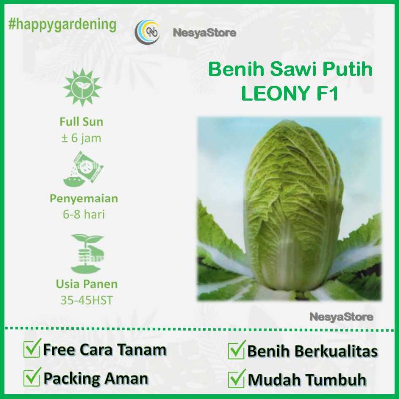 25 Biji Benih Sawi Putih Leony Cap Panah Merah - Biji Benih Sayur Seribuan