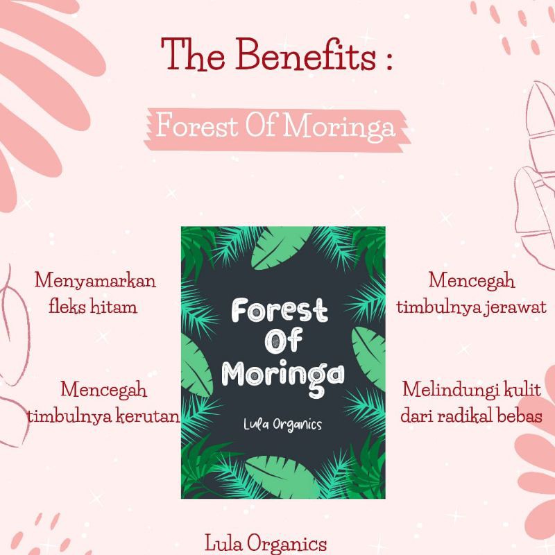 

forestOfMoringa