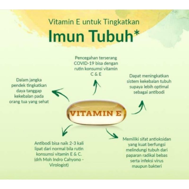 EVER E 250 IU VITAMIN E ORIGINAL 30 KAPSUL