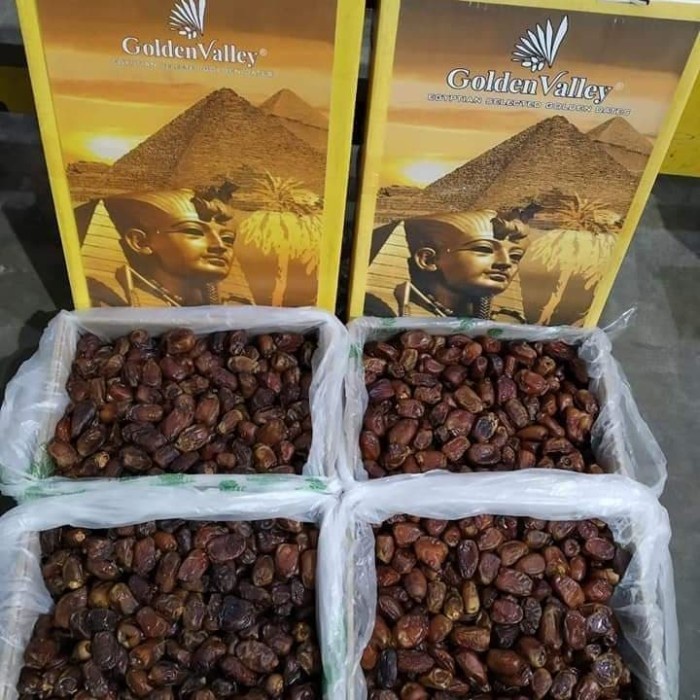 

Kurma Terbaru - Kurma Mesir Golden Kemasan 10Kg