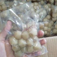 

BASO ACI SINGLE PACK 12 PCS