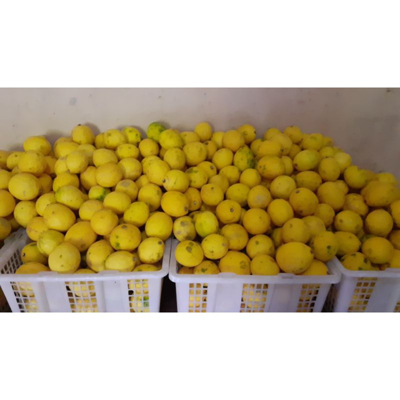 

lemon cf lokal