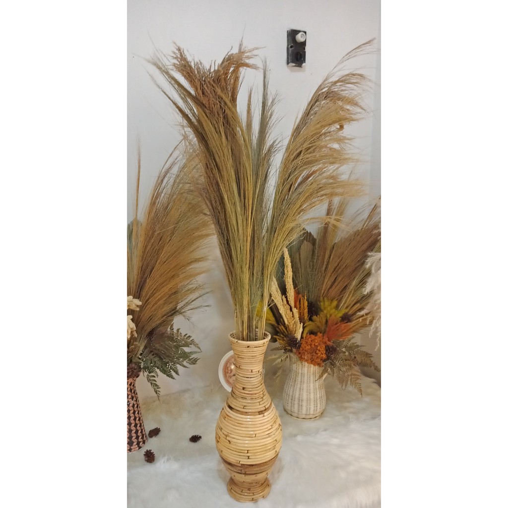 Jual daun Pampas Kering Dekorasi Rustik / dekorasi rustic / dekorasi