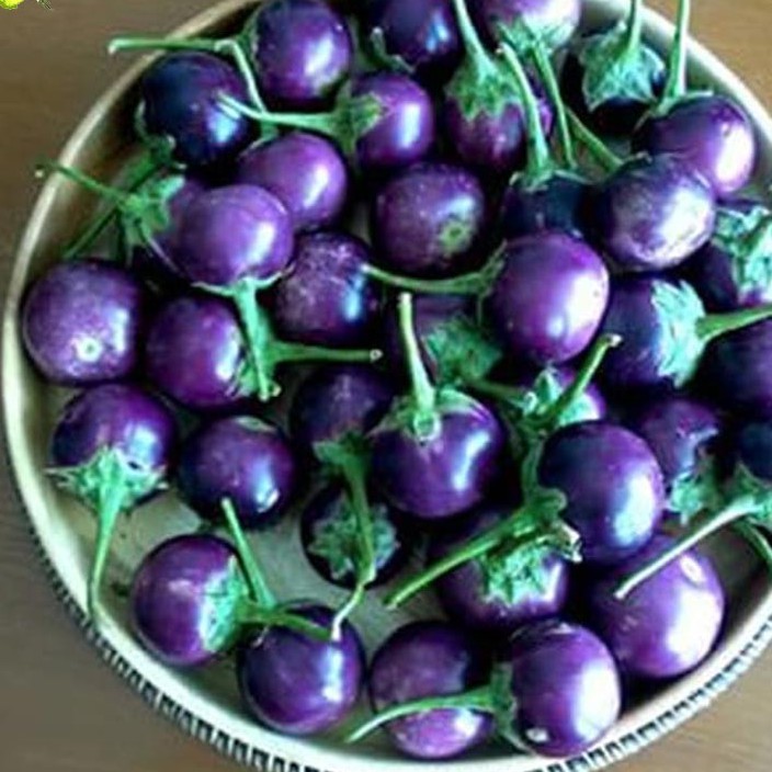 Benih Seribuan - 50 Benih Sayuran Buah Terong Lalap Ungu Unggul