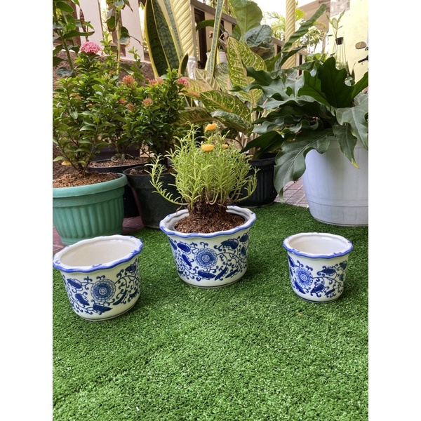 pot keramik biru putih