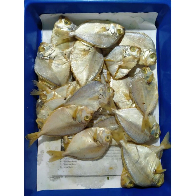 

Ikan Asin Petek Murah ( 100gram )