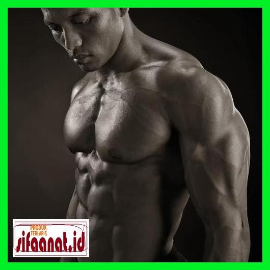 Terpercaya- Testosterone Enanthate .Test Enan 250 Golds Pharma 679Tjuty-