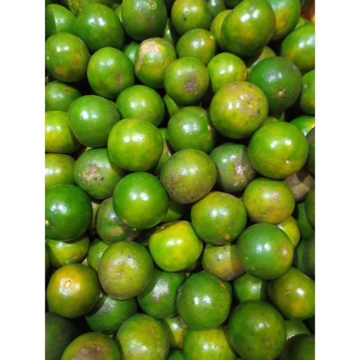 

Buah Jeruk Siam madu C 900G-1KG