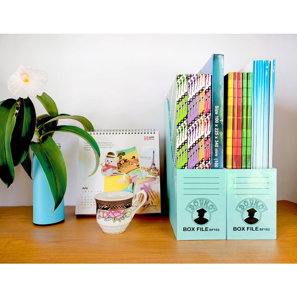 

Box File Medium Boyko