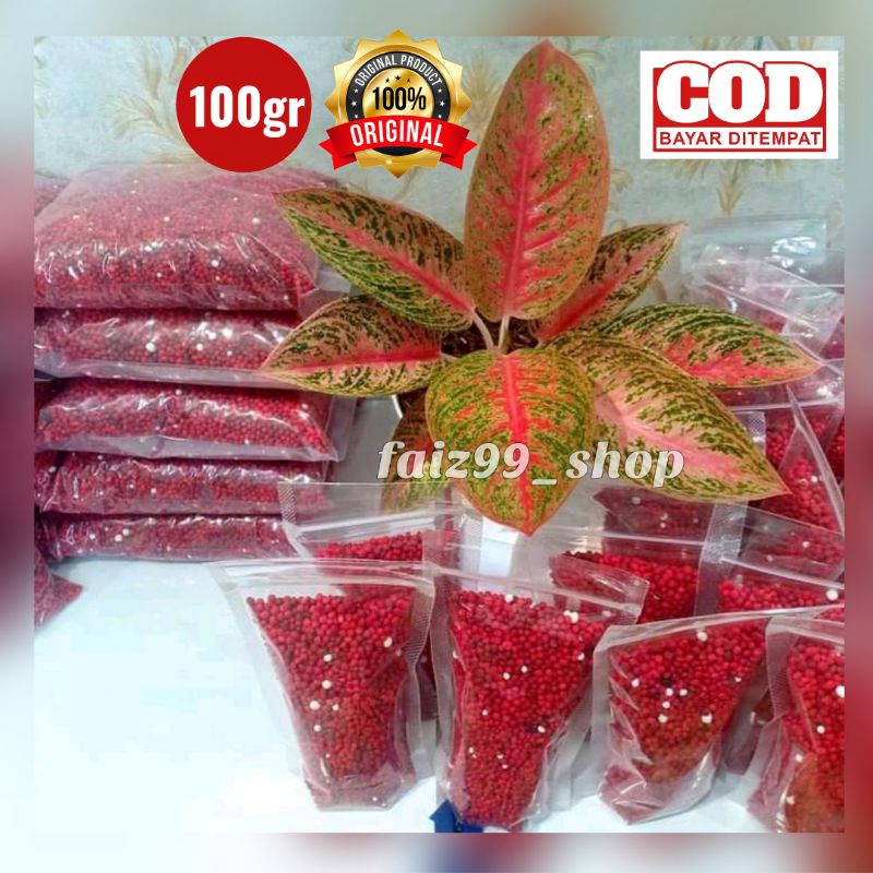 SLOW RELEASE MERAH/SK COTE/Pupuk Merah/Pupuk sr/Pupuk tanaman hias/SR19-10-13 Kemasan 100 gram