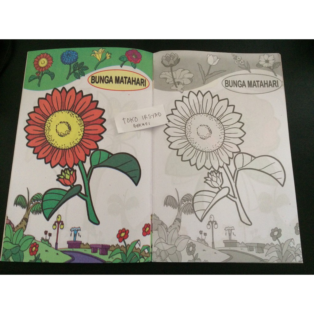 Buku Paud Dan Buku Tk Mewarnai Bunga