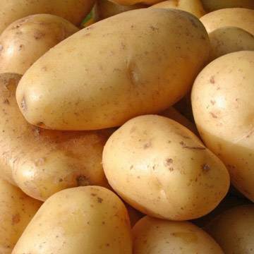 

Kentang Dieng Value - 500 gr