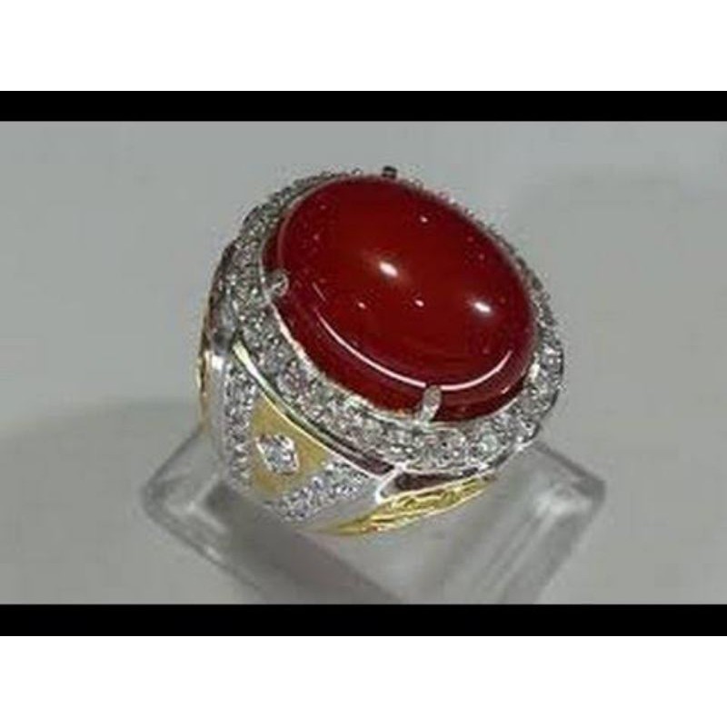 bacan merah ray