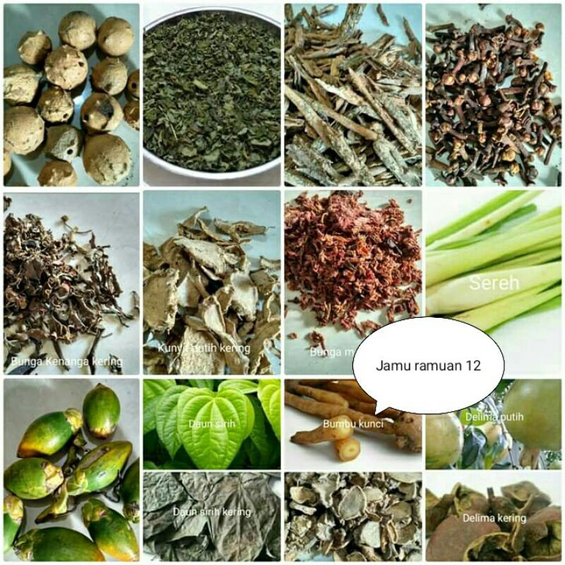 

jamu ramuan 12