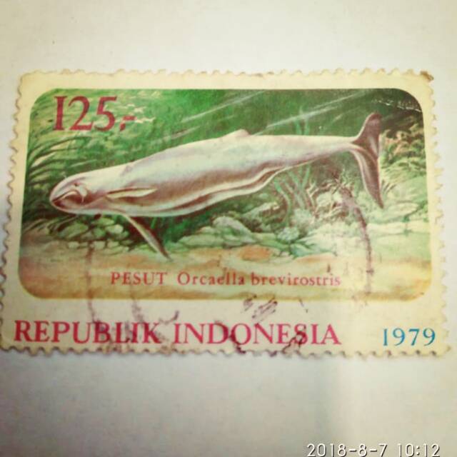 Perangko Indonesia ikan pesut 125 1979