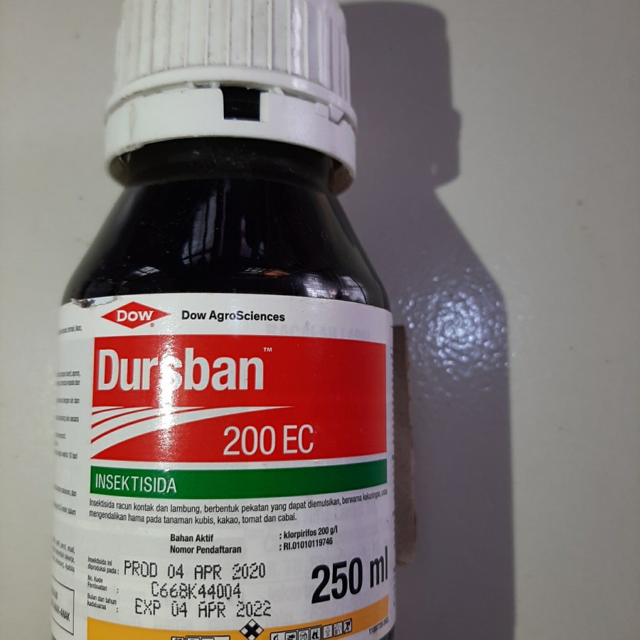 Dursban 100Ml