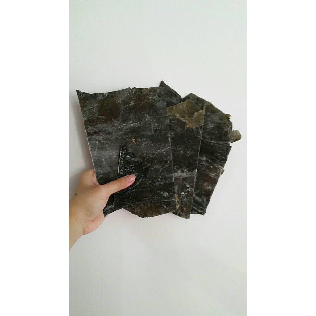 

Terbaru Konbu / Kombu / Rumput Laut Kering Terlaku