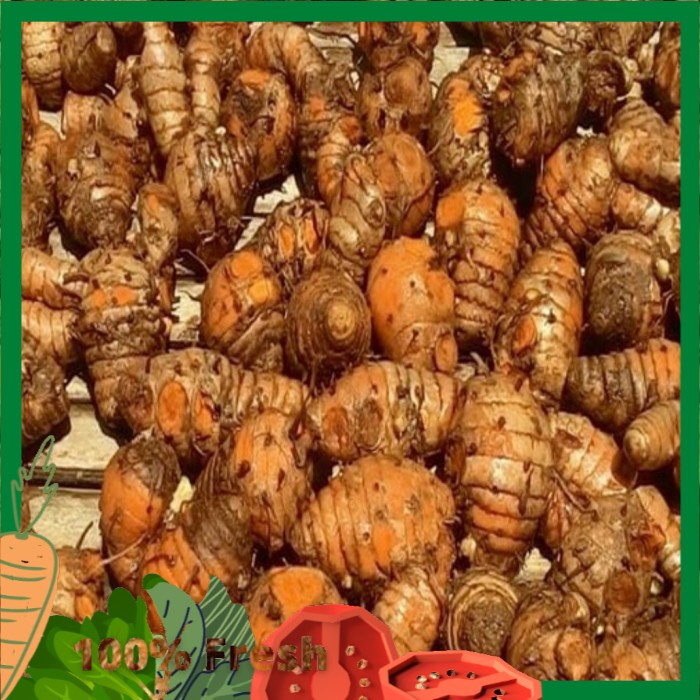 

BIANG KUNYIT SEGAR 500gram