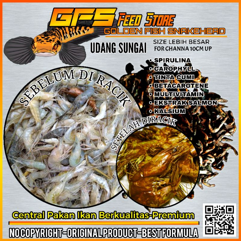 Udang Setan Black 30 Gram Pakan Channa Kontes