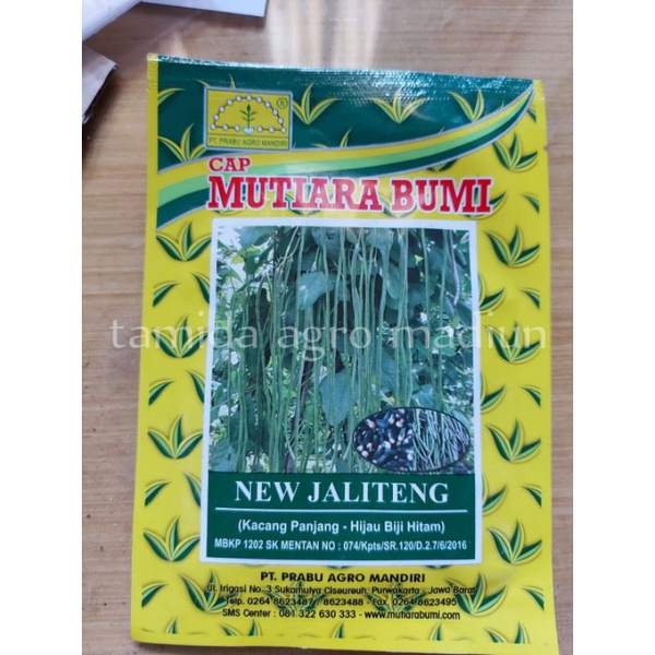 benih kacang panjang NEW JALITENG tahan virus 500 gr