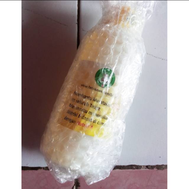 Nutrisi Tauge Sumo Botol B kecil Saja