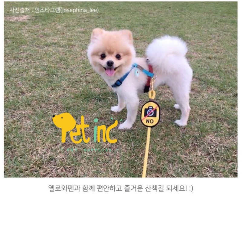 Munglabs dog leash sticker