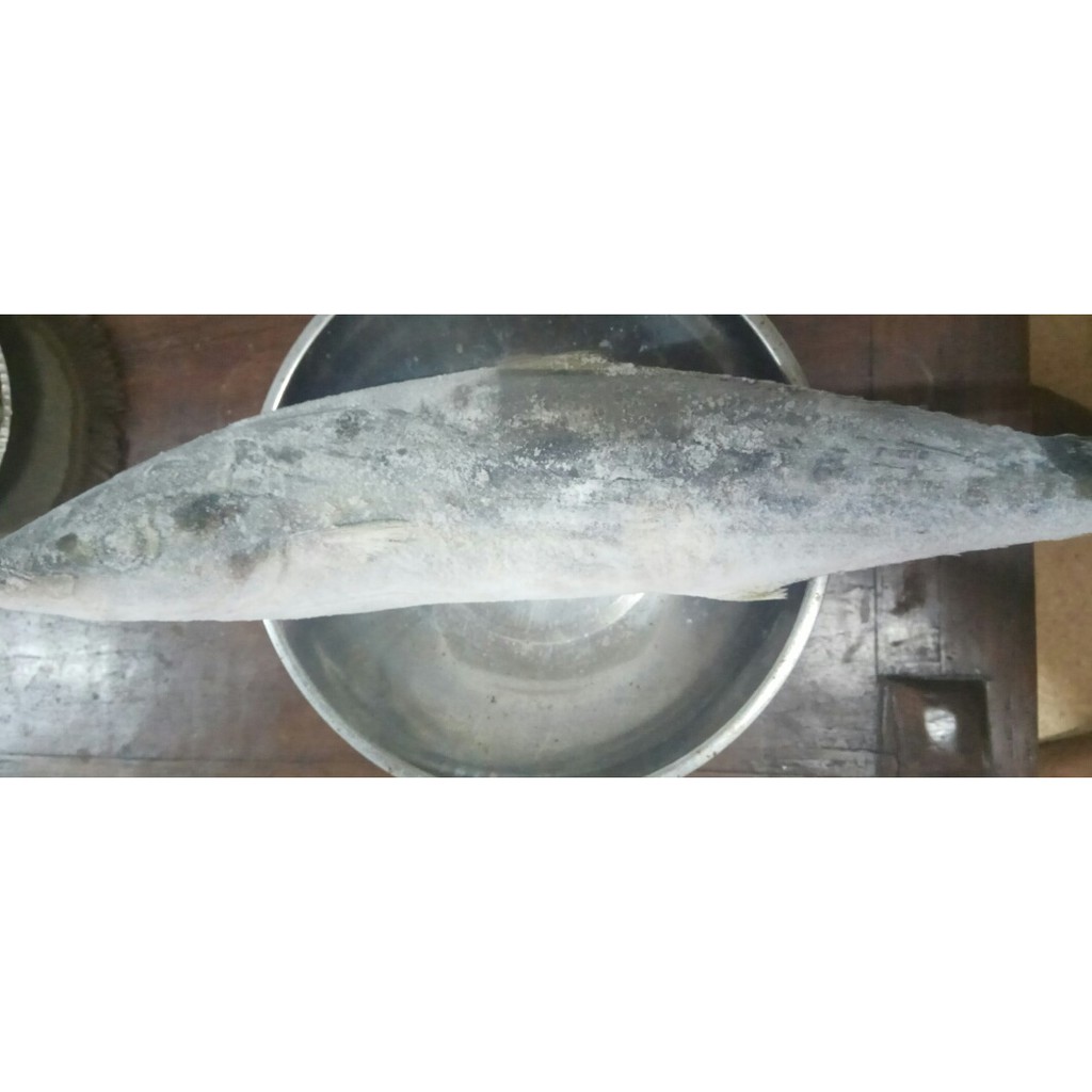 

Ikan Tenggiri Frozen FreshMart 2 Kg