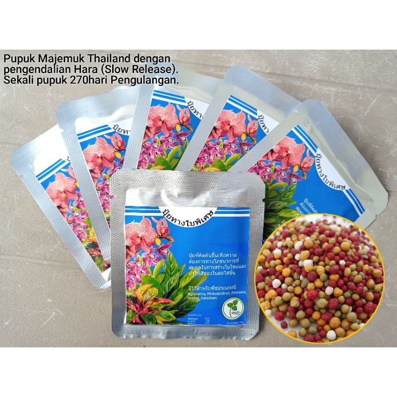 Pupuk Dekastar Osmocote Thailand 20-15-15 Original Slow Release untuk perimbun daun aglonema
