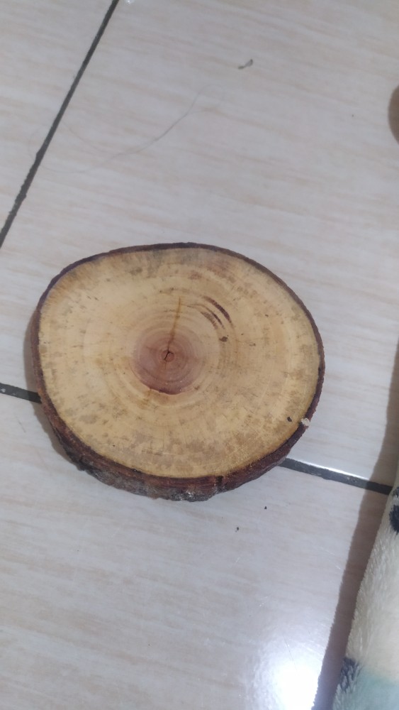 Wood Slice Atau Potongan Kayu Kerjinna Diy