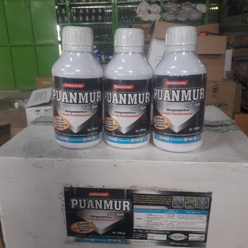 fungisida/bakterisida PUANMUR 50SP 250g mengendalikan penyakit kresek, blast, layu dan bercak daun