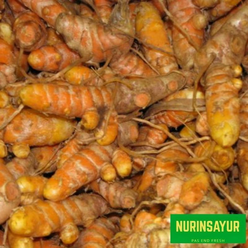 

kunyit/koneng