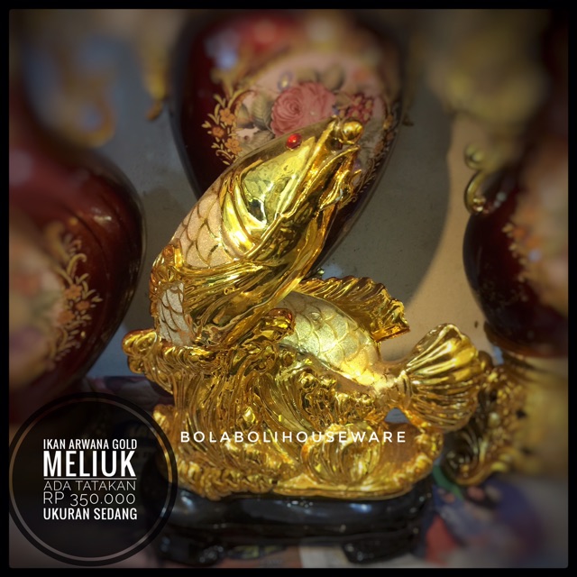 Ikan arwana gold
