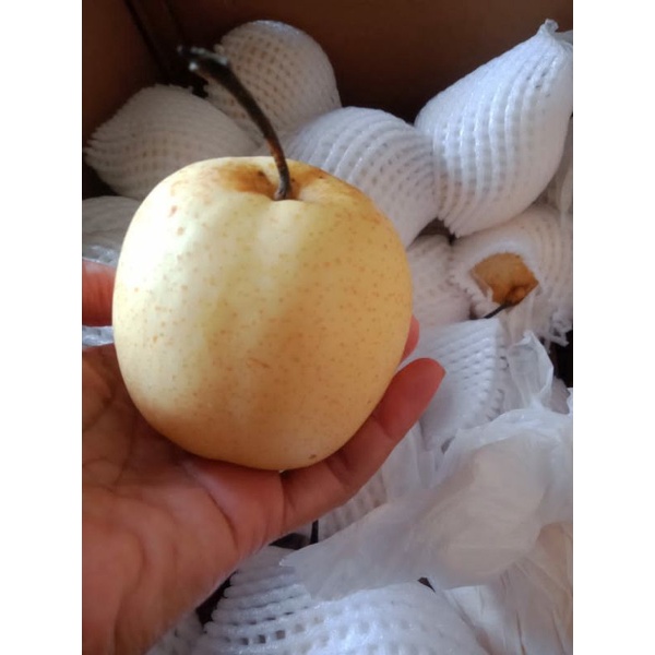 

pear century