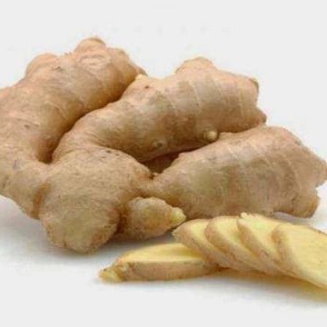 

paket cargo kunyit putih segar 10 kg (curcuma zedoaria)