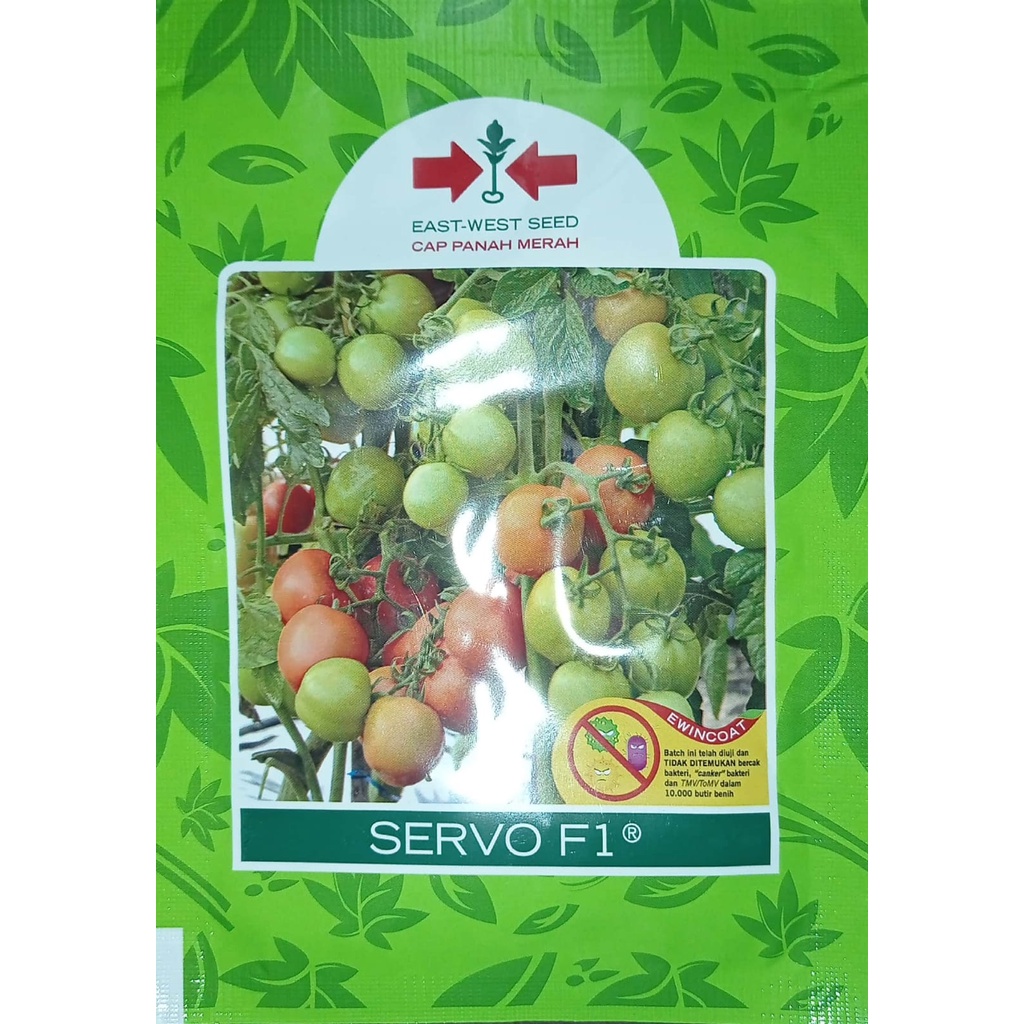 Benih Tomat Servo F1