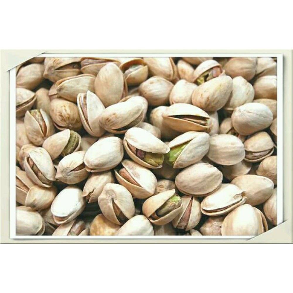 

KACANG PHYTASIO(OLEH2 HAJI) Best Quality