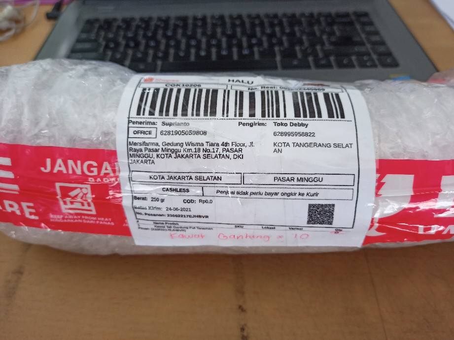 Kawat Tali Gantung Pot Tanaman