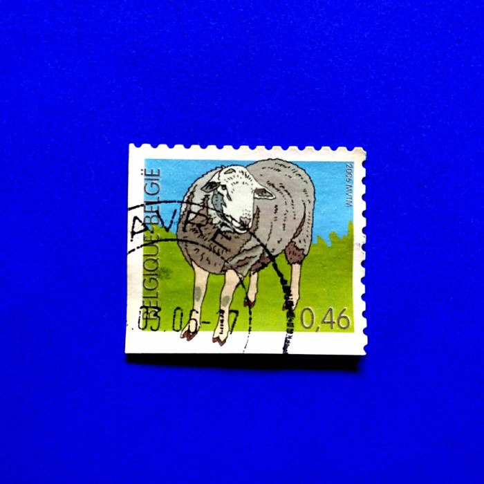 

Prangko Belgia Sheep.