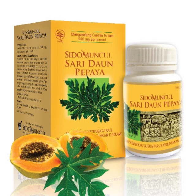

Sari Daun Pepaya
