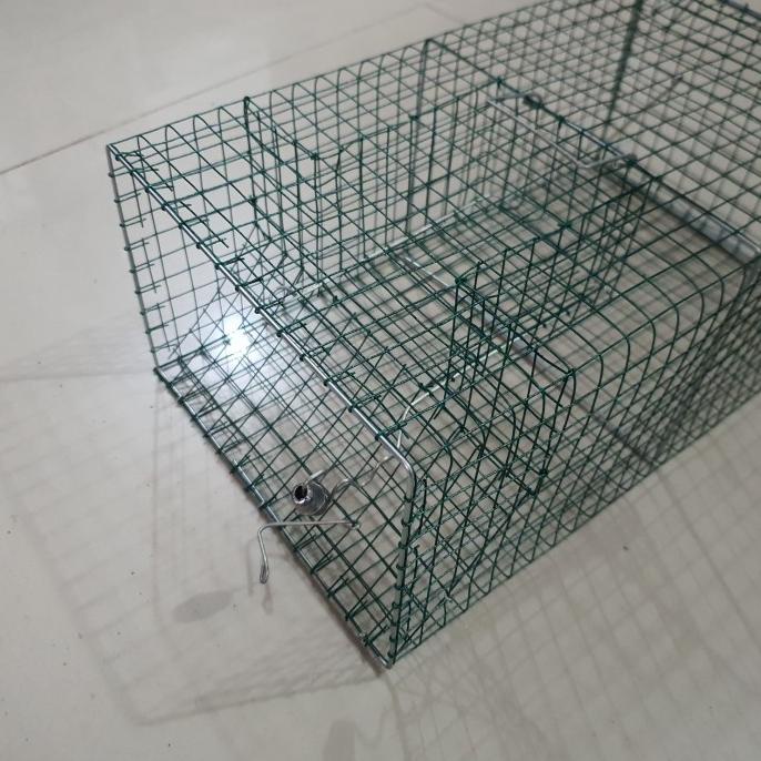 Perangkap tikus massal jebakan tikus jumbo UMKM