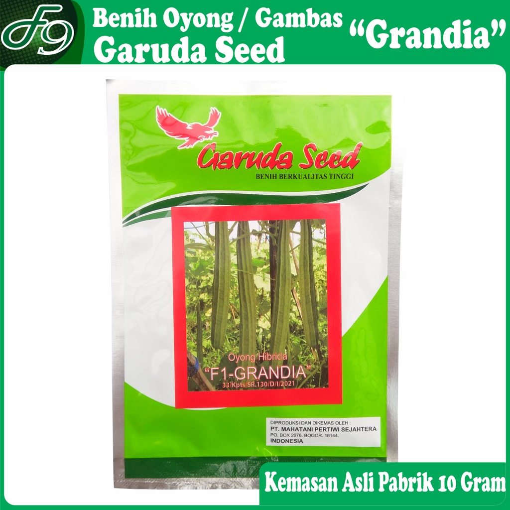 Benih Gambas Oyong Unggul F1 Grandia Garuda Seed Kemasan Pabrik 10 Gram