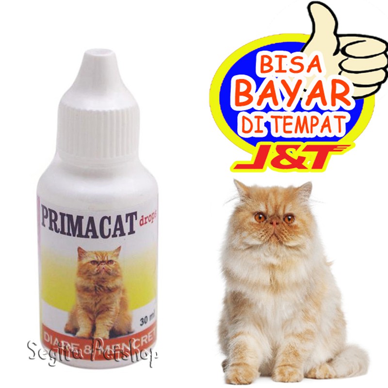 Obat Diare Mencret Kucing Primacat