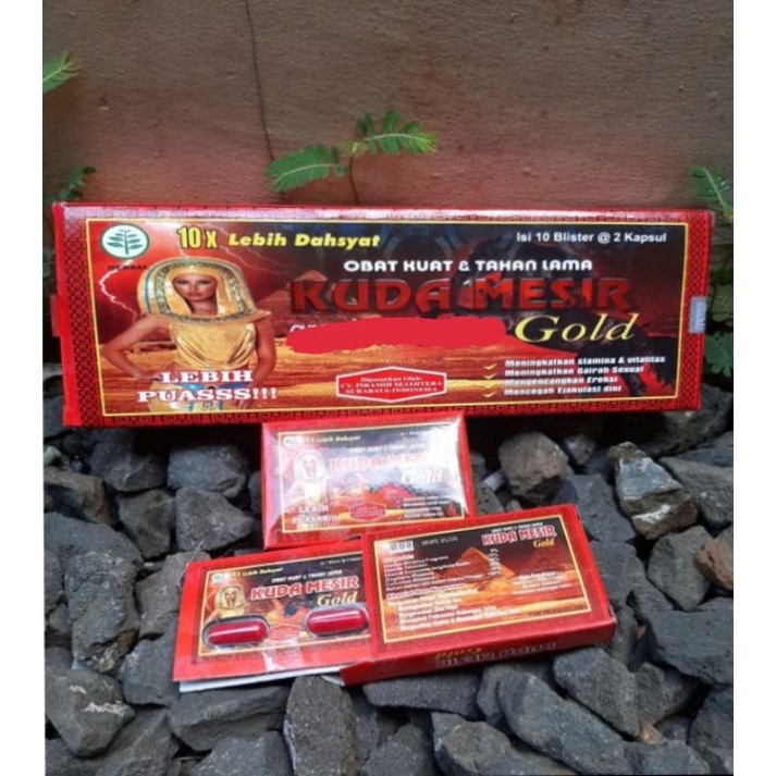 KUDA MESIR Gold Original(privasi aman)