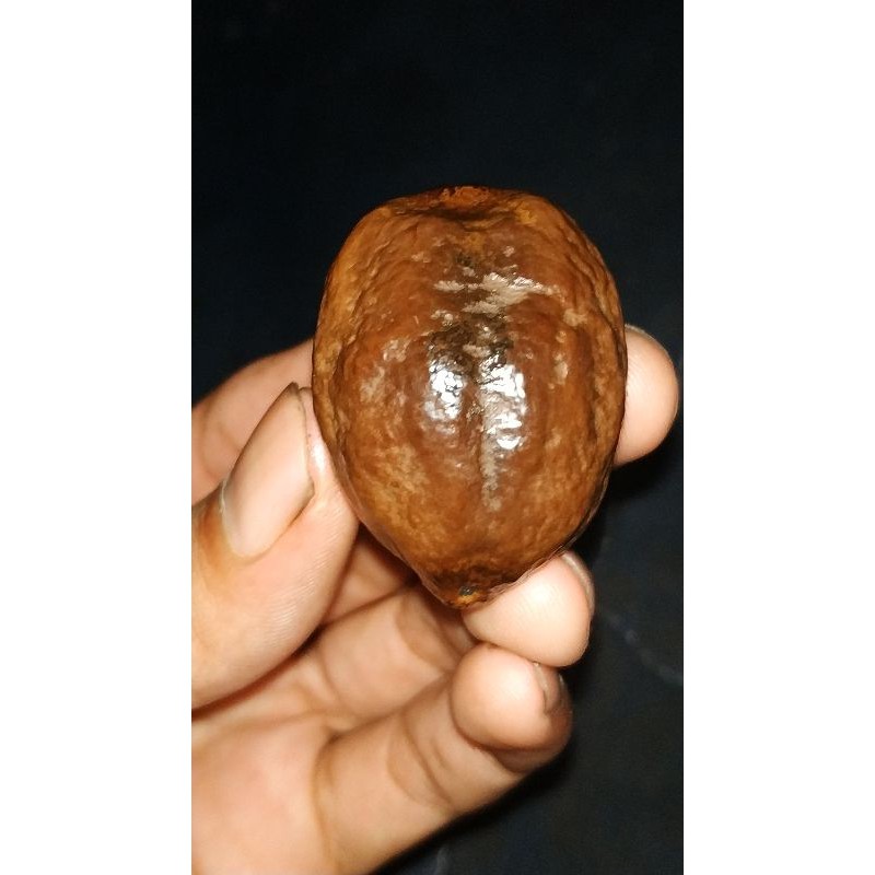 Jayanti