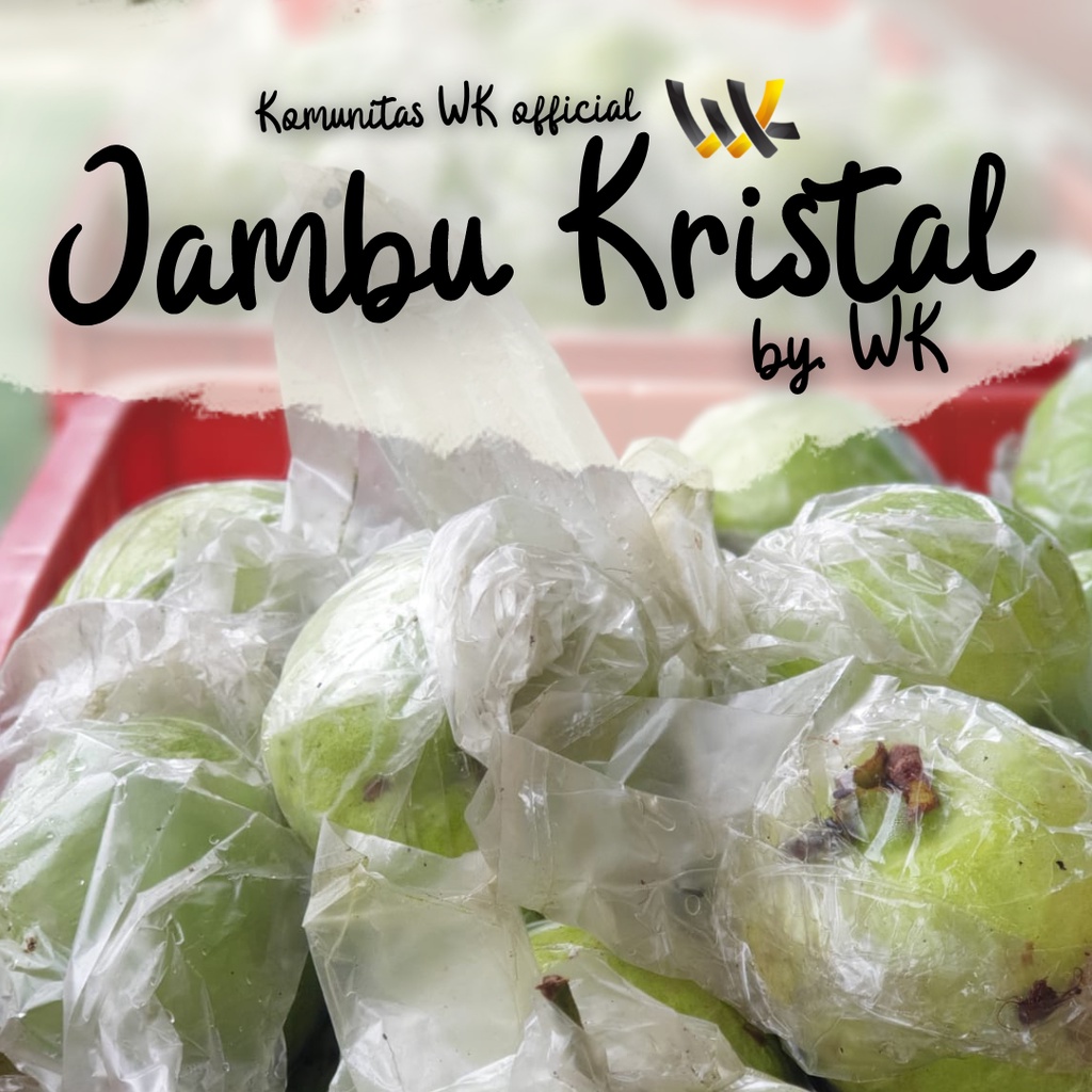 

JAMBU KRISTAL