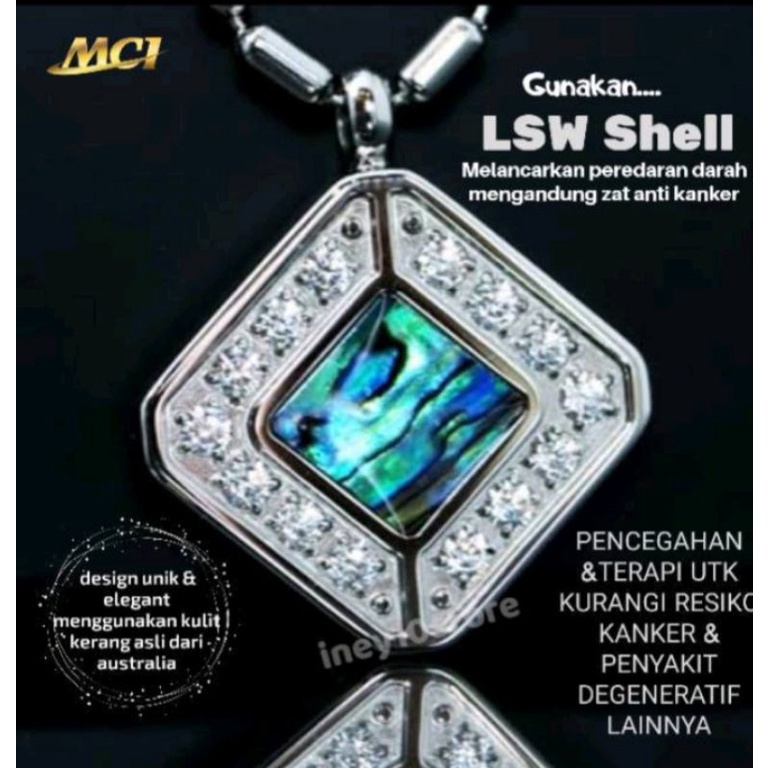 LSW Shell