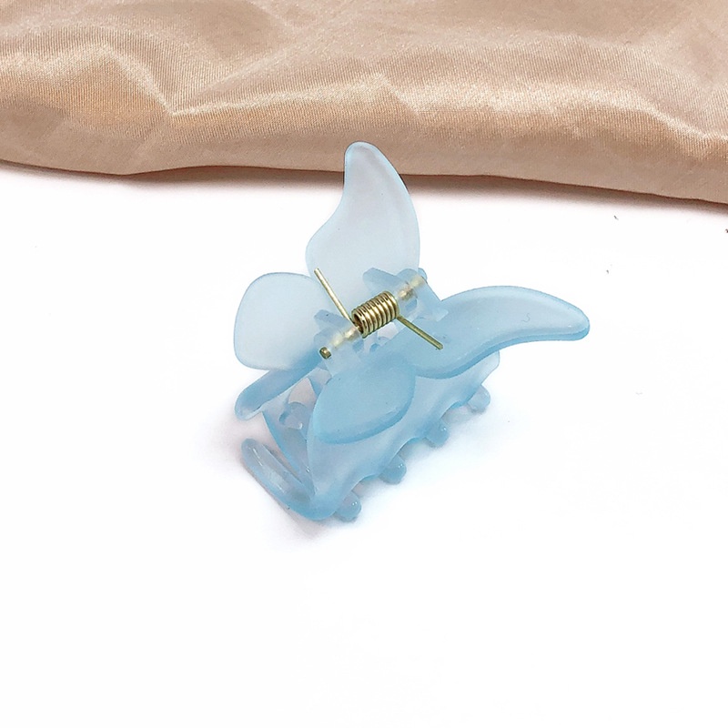 Beautiful Frosted Acrylic Butterfly Hair Clip For Women