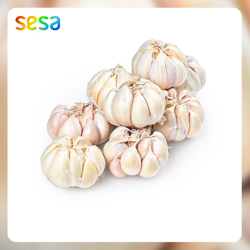 

BAWANG PUTIH 500gr - Rempah Sayuran Fresh Sehat Segar