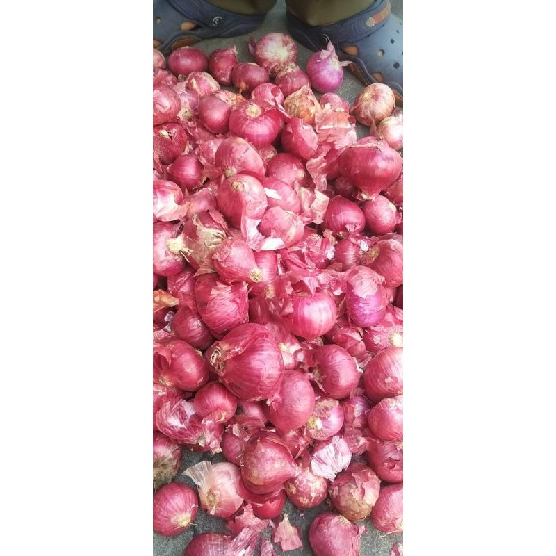

BAWANG MERAH INDIA FRESH SEGAR 1KG